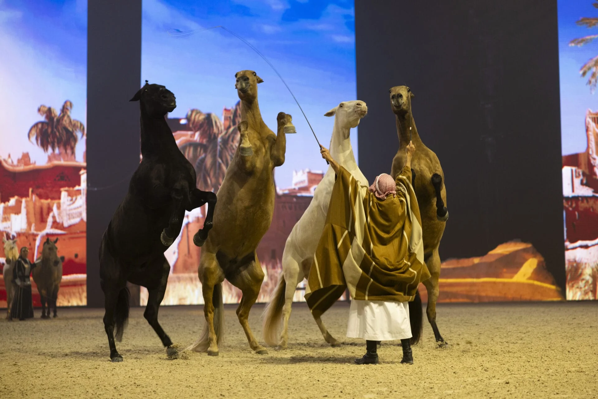 Horse, camel, and rider show.