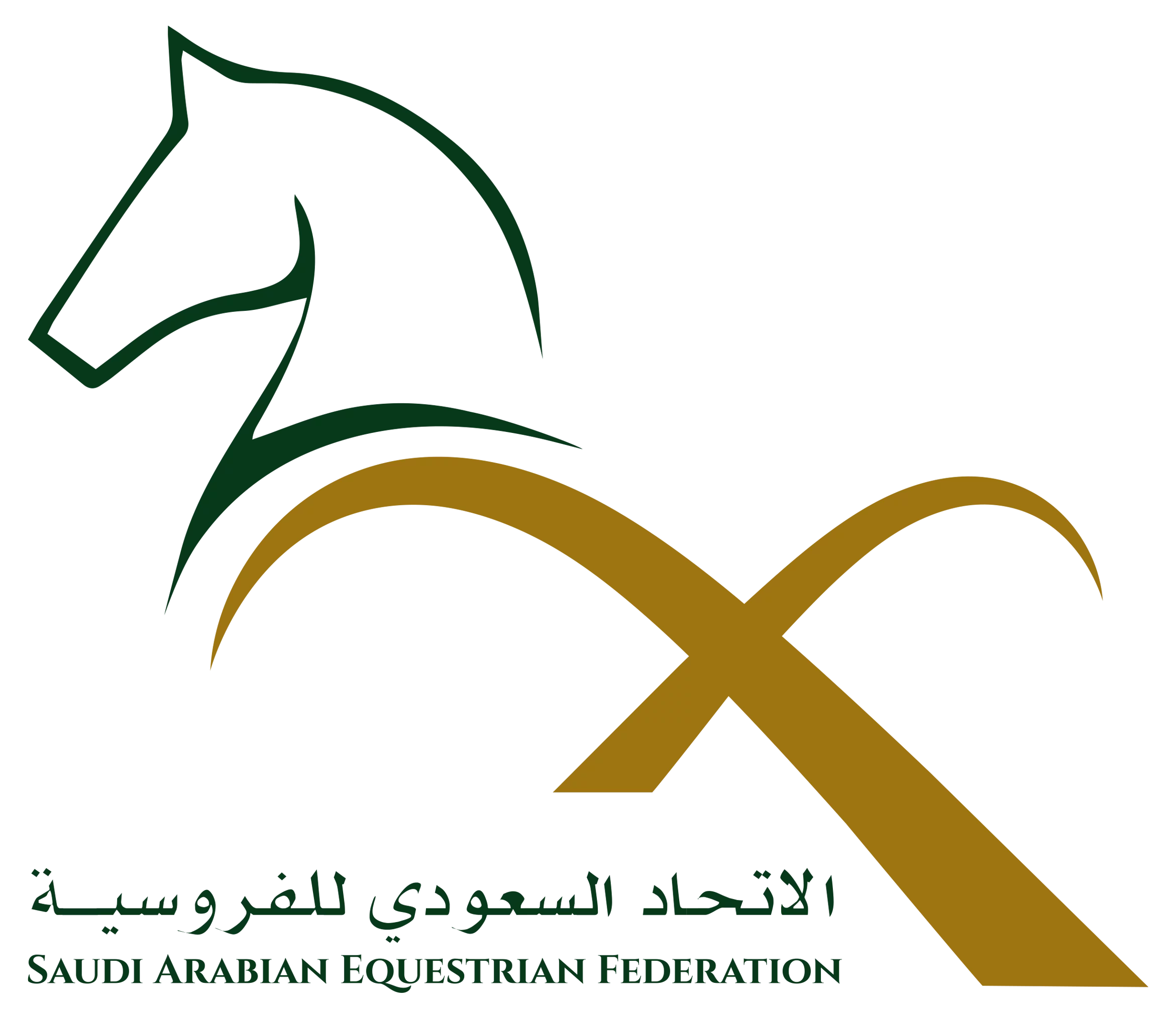 SAEF_NEW_LOGO
